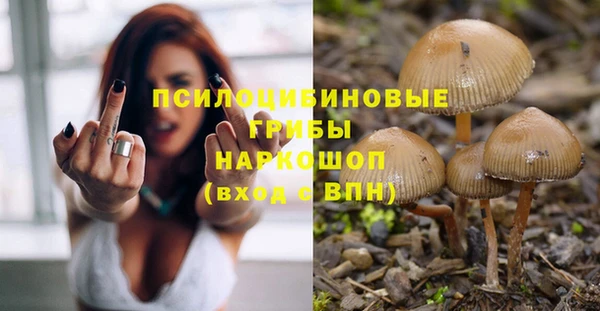 Альфа ПВП Богородицк