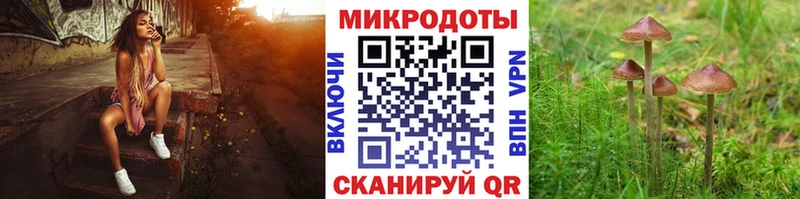 Галлюциногенные грибы мицелий  Юрга 